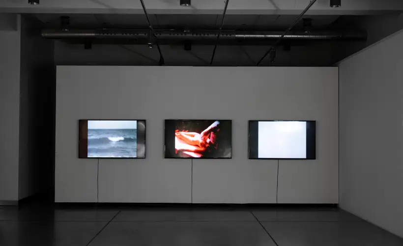 zdjęcie z wystawy artystyczna obecnosc