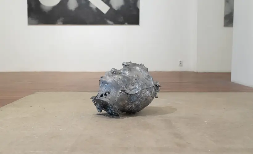 zdjęcie z wystawy Argonauta