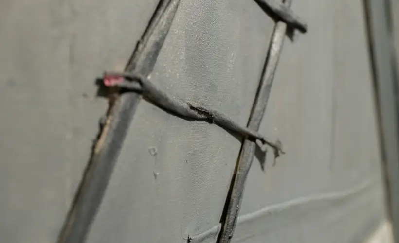 zdjęcie z wystawy Argonauta