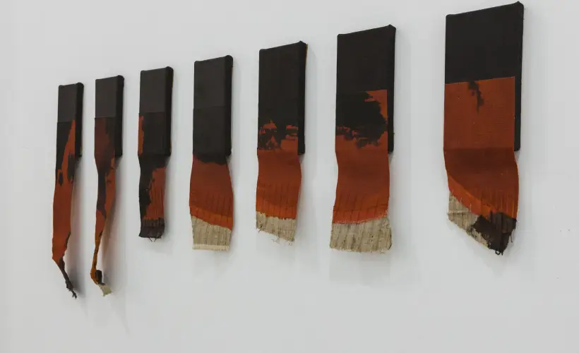 zdjęcie z wystawy Pharmasee