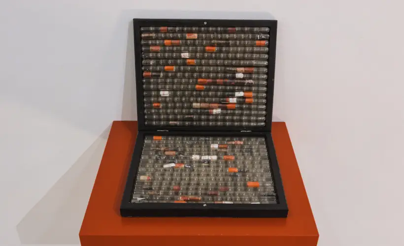 zdjęcie z wystawy Pharmasee