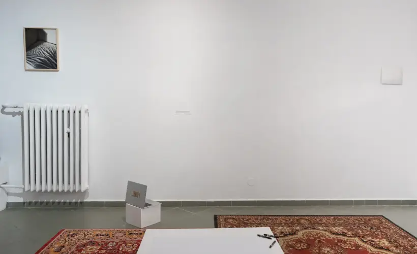 zdjęcie z wystawy Argonauta