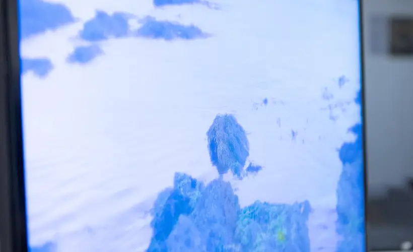 zdjęcie z wystawy Argonauta